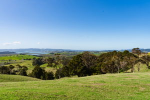 Whittle Road - Lots-1