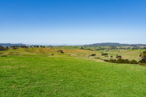 Whittle Road - Lots-13