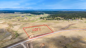 LOT 1