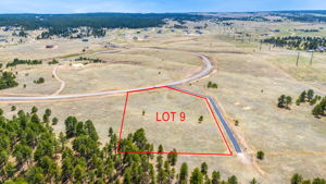 LOT 9