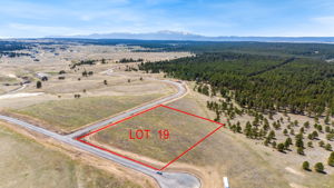 LOT 19