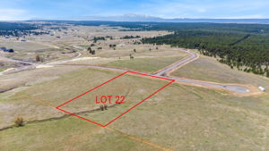 LOT 22