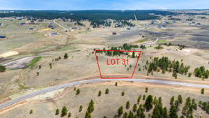 LOT 31