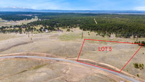LOT 5