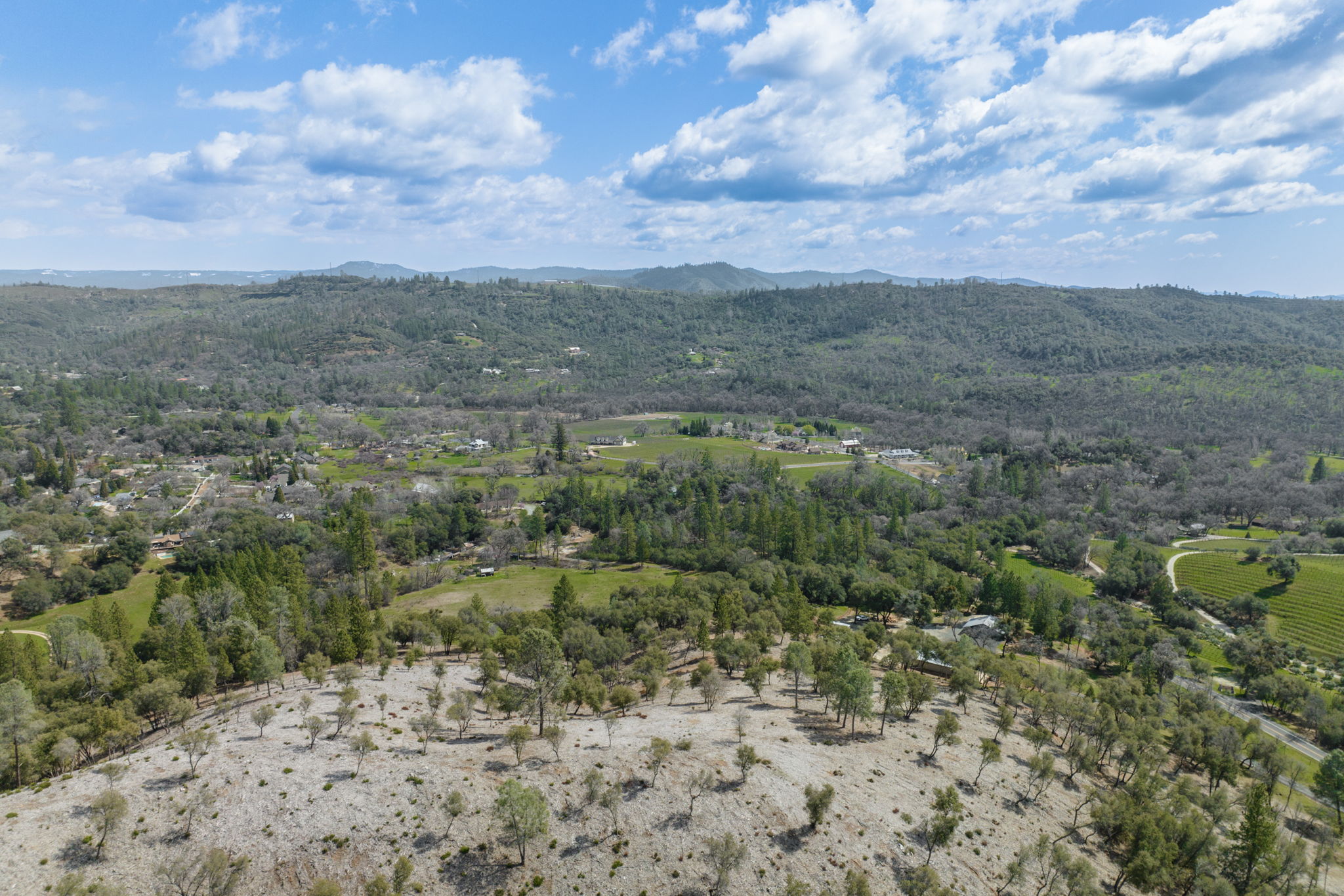 Woodland Dr, Murphys, CA 95247 Sweetwater Photography