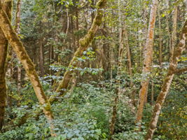  Photo 30
